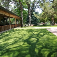 Artificial Animal Shelter Anthony Texas Installation