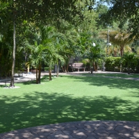 Artificial Lawn Lindsay, Texas Lawns, Commercial Landscape