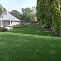 Artificial Pet Turf Socorro Texas for Dogs