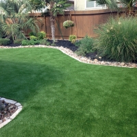 Artificial Pets Areas Clint Texas Installation