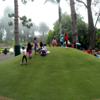 Artificial Turf Morning Glory Texas School