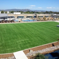 Artificial Turf Sports Morning Glory Texas