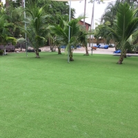 Artificial Turf Sundown, Texas Landscaping Business, Commercial Landscape