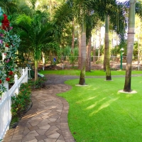 Fake Grass Carpet Meadow, Texas Gardeners, Commercial Landscape