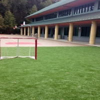 Fake Grass School Stadium Anthony Texas