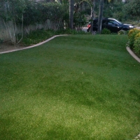 Fake Grass Whiteface, Texas City Landscape, Front Yard Ideas