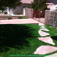 Fake Pet Turf Fabens Texas for Dogs