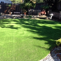 Fake Pet Turf Westway Texas Installation