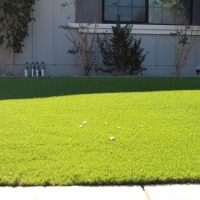 Fake Turf Horizon City Texas Lawn