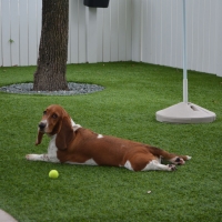 Grass Turf Loop, Texas Dog Park, Dogs Park