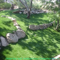 Synthetic Grass Sparks Texas Lawn