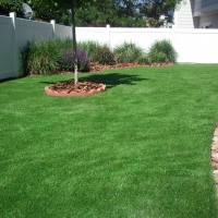 Synthetic Grass Tornillo Texas Landscape