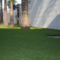 Synthetic Lawn Pyote, Texas Backyard Playground, Commercial Landscape