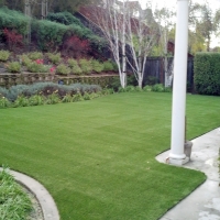 Synthetic Pet Grass Clint Texas Installation