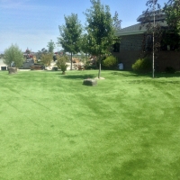 Synthetic Pet Grass Homestead Meadows North Texas Installation