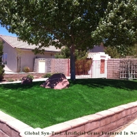 Synthetic Turf Morning Glory Texas Lawn