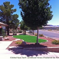 Synthetic Turf Socorro Mission Number 1 Colonia Texas Landscape