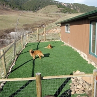 Synthetic Veterinary Clinic Prado Verde Texas Installation