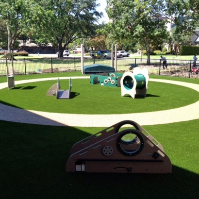 Artificial Grass Morning Glory Texas Kindergarten