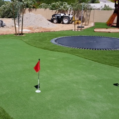Artificial Grass Smyer, Texas Artificial Putting Greens, Backyard Designs