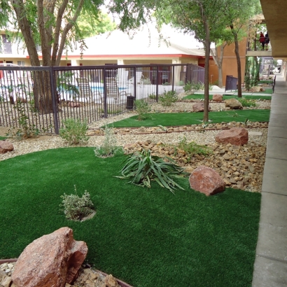 Artificial Grass Westway Texas Landscape