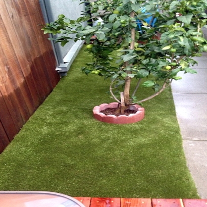 Artificial Pet Grass San Elizario Texas Installation