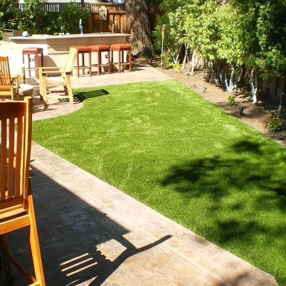 Artificial Pet Turf Agua Dulce Texas for Dogs