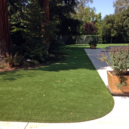 Artificial Pet Turf Clint Texas for Dogs