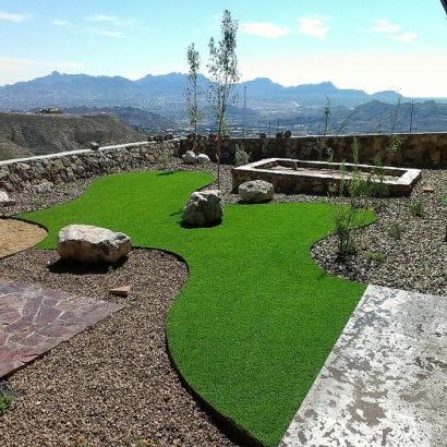 Artificial Pets Areas Butterfield Texas Installation