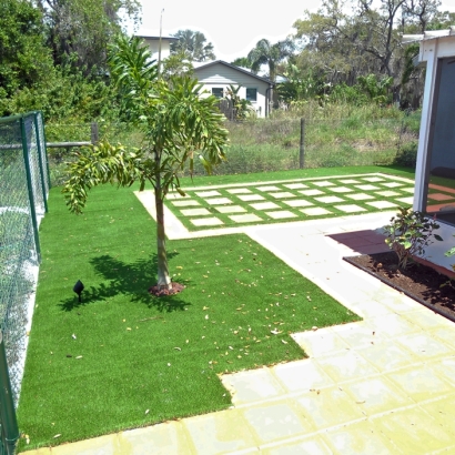 Artificial Turf San Elizario Texas Landscape