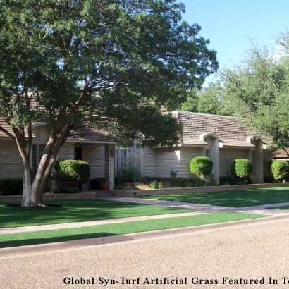 Artificial Turf Tornillo Texas Landscape