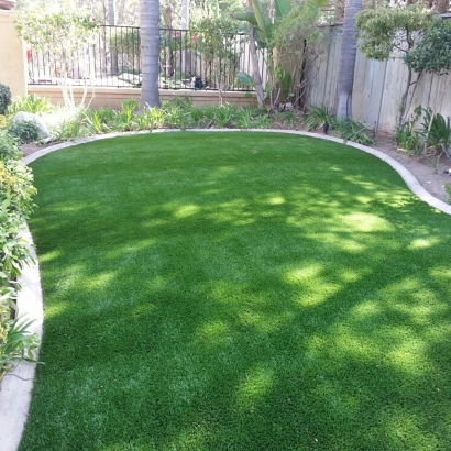 Best Artificial Grass Balmorhea, Texas Home And Garden