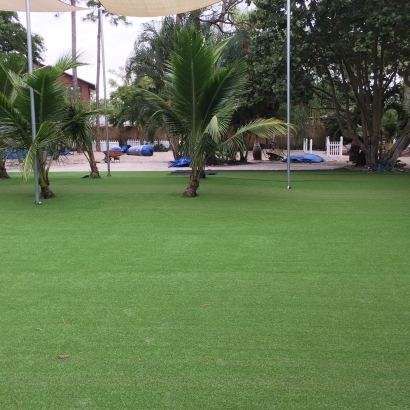 Best Artificial Grass Presidio, Texas Garden Ideas, Commercial Landscape