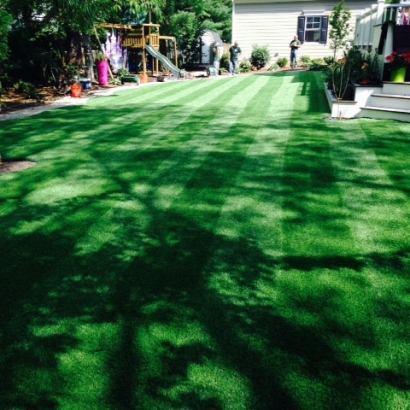 Fake Grass Los Ybanez, Texas Lawns, Backyard Garden Ideas