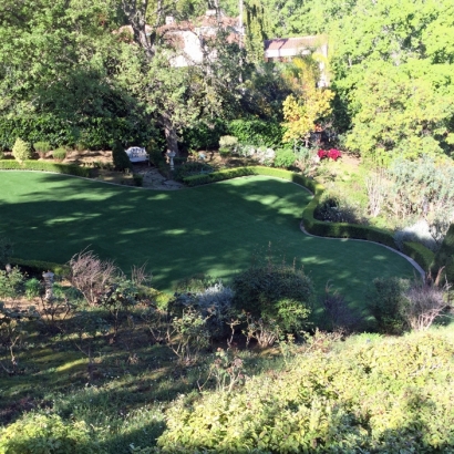 Fake Grass Sparks Texas Landscape