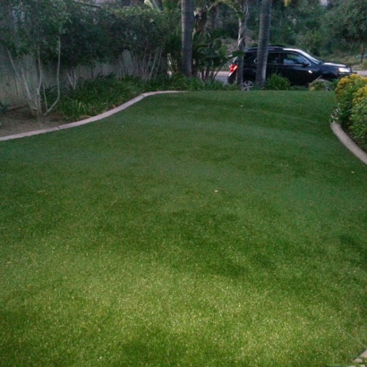 Fake Grass Whiteface, Texas City Landscape, Front Yard Ideas