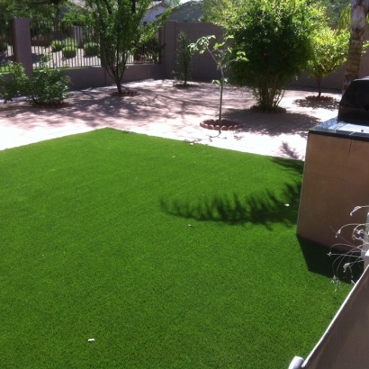 Fake Pet Turf Vinton Texas for Dogs