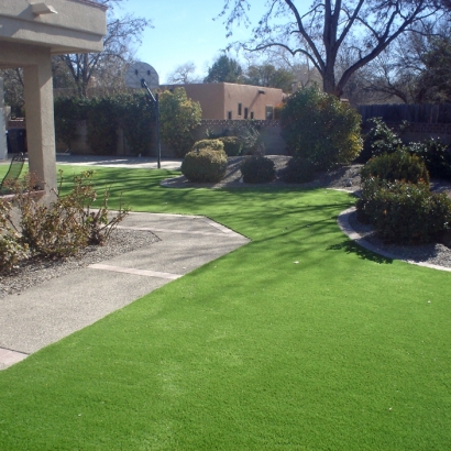 Fake Turf Fabens Texas Landscape