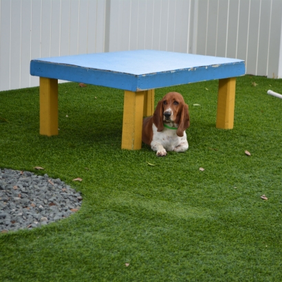 Faux Grass Terlingua, Texas Artificial Grass For Dogs, Commercial Landscape