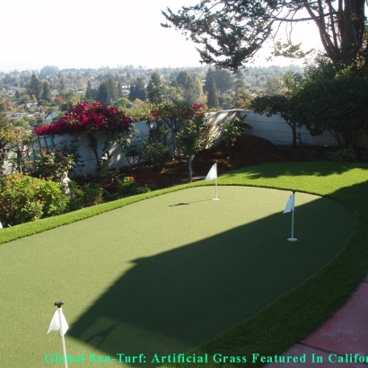 Golf Putting Greens Anthony Texas Synthetic Grass