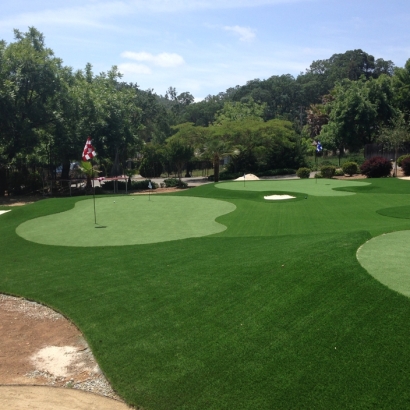 Golf Putting Greens Homestead Meadows South Texas Fake Grass