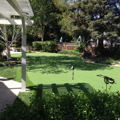 Green Lawn Redford, Texas Landscaping