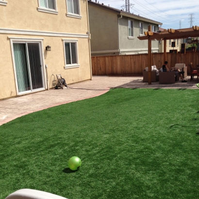 Outdoor Carpet Opdyke West, Texas Landscaping, Beautiful Backyards