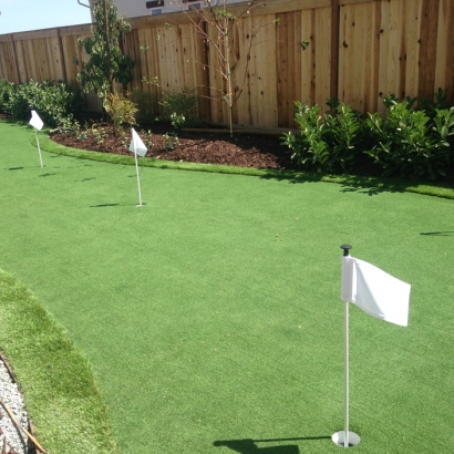 Putting Greens Fabens Texas Artificial Turf