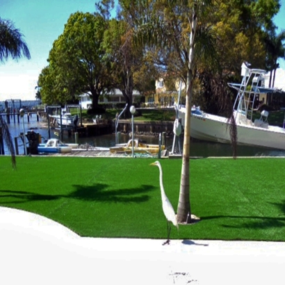 Synthetic Grass Socorro Mission Number 1 Colonia Texas Landscape