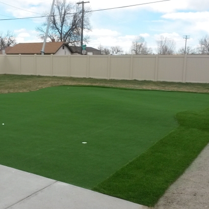Synthetic Lawn Valentine, Texas How To Build A Putting Green, Backyard Garden Ideas
