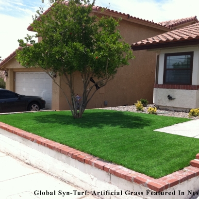 Synthetic Turf Homestead Meadows South Texas Landscape