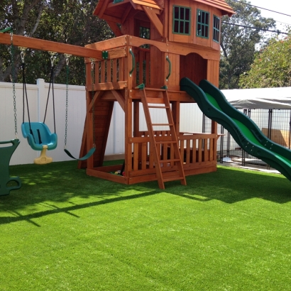 Synthetic Turf Morning Glory Texas Kindergarten