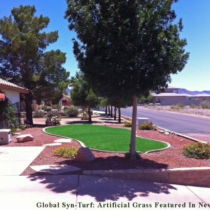 Synthetic Turf Socorro Mission Number 1 Colonia Texas Landscape
