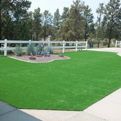 Synthetic Turf Sparks Texas Lawn